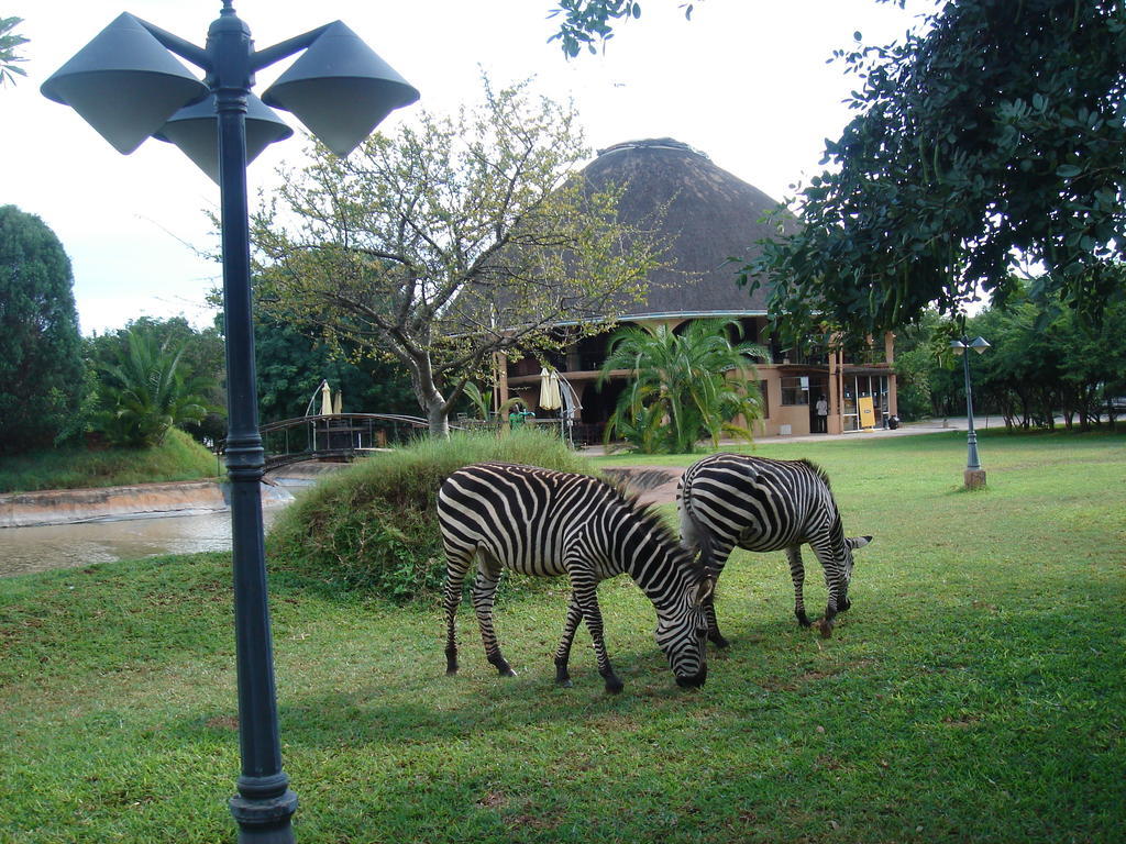 Kaazmein Lodge Livingstone Extérieur photo